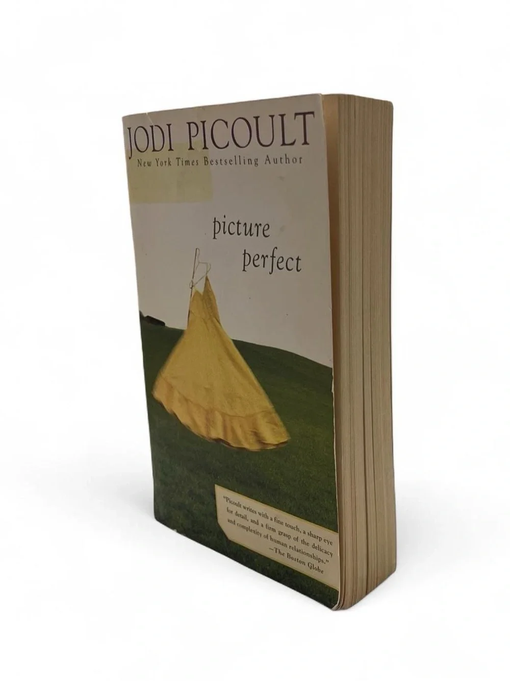 Jodi Picoult Picture Perfect Paperback Book Drama Romance Fiction Novel Adult